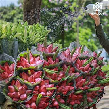 Thổn thức với những thức quà tháng 6 chỉ Hà Nội mới có